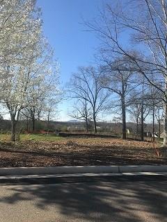 0 Lots 1 Through 9 In Cherokee Reserve Road Canton, GA 30115 - Photo 1 of 1 Gallery Image 1