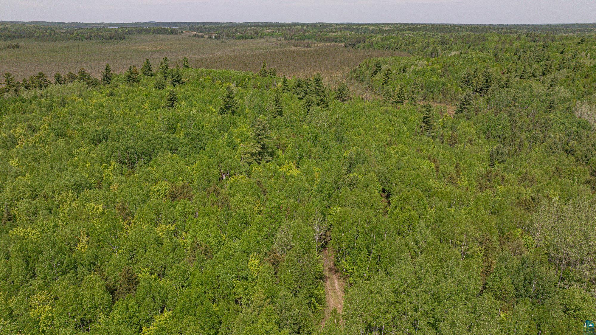 Tbd Tbd Muckwa Lake Road Babbitt, MN 55706 - Photo 41 of 54