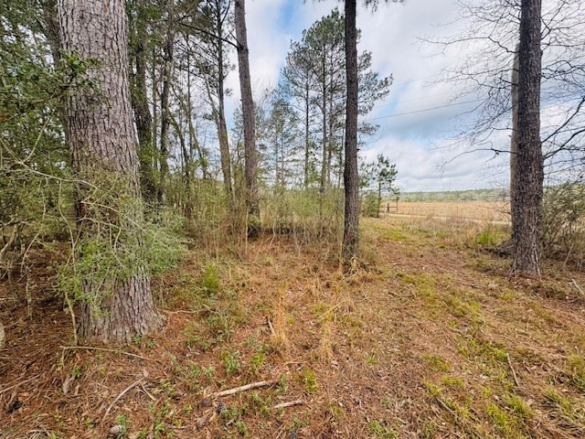Tbd Tbd Tbd Mount Columbia, MS 39429 - Photo 11 of 27 Photo 11