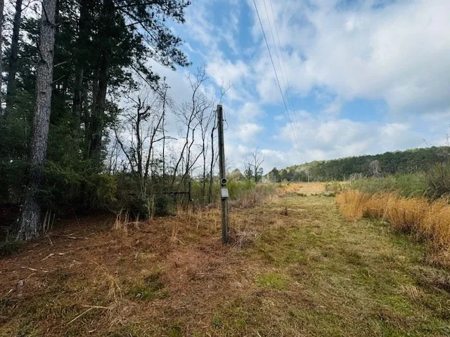 $149,500 | Tbd Tbd Tbd Mount, Columbia, MS 39429