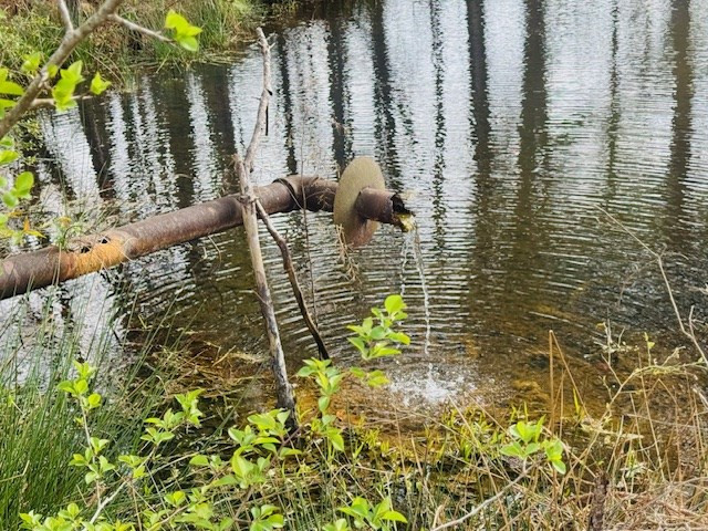 Tbd Tbd Tbd Mount Columbia, MS 39429 - Photo 13 of 27 Photo 13