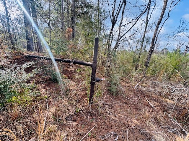 Tbd Tbd Tbd Mount Columbia, MS 39429 - Photo 14 of 27 Photo 14