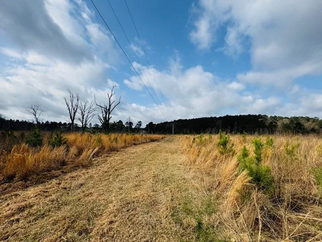 $149,500 | Tbd Tbd Tbd Mount, Columbia, MS 39429