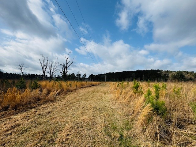 Tbd Tbd Tbd Mount Columbia, MS 39429 - Photo 15 of 27 Photo 15