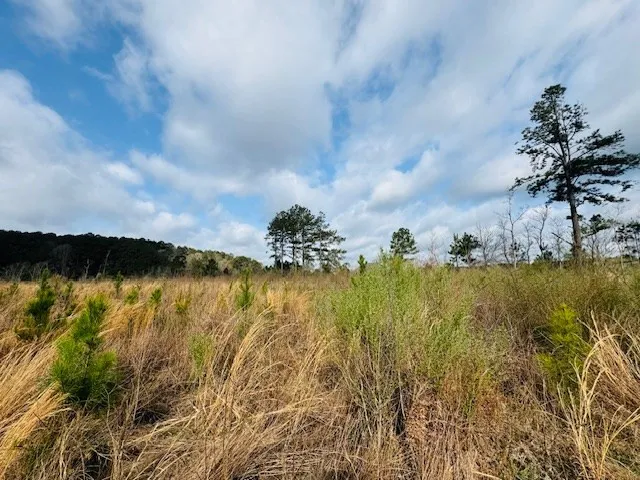 $149,500 | Tbd Tbd Tbd Mount, Columbia, MS 39429