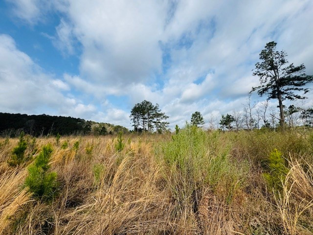 Tbd Tbd Tbd Mount Columbia, MS 39429 - Photo 16 of 27 Photo 16