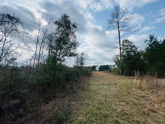 Tbd Tbd Tbd Mount Columbia, MS 39429 - Photo 18 of 27 Photo 18