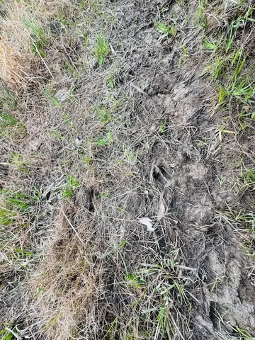 $149,500 | Tbd Tbd Tbd Mount, Columbia, MS 39429