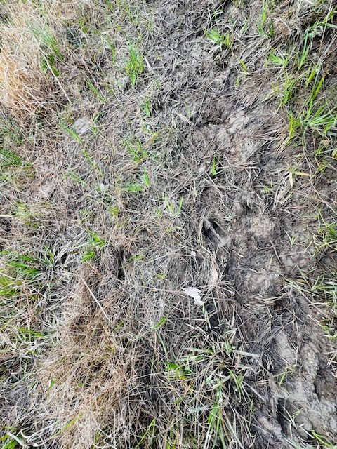 Tbd Tbd Tbd Mount Columbia, MS 39429 - Photo 19 of 27 Photo 19