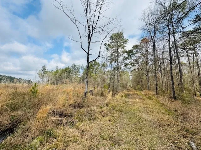 $149,500 | Tbd Tbd Tbd Mount, Columbia, MS 39429