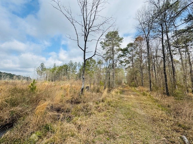 Tbd Tbd Tbd Mount Columbia, MS 39429 - Photo 21 of 27 Photo 21