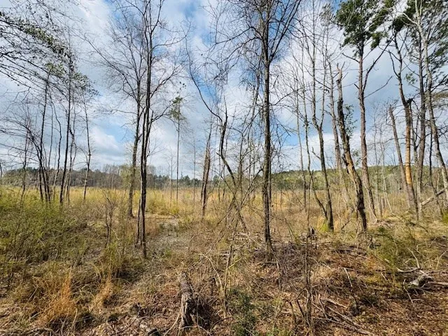 $149,500 | Tbd Tbd Tbd Mount, Columbia, MS 39429