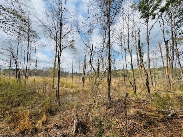 Tbd Tbd Tbd Mount Columbia, MS 39429 - Photo 22 of 27 Photo 22