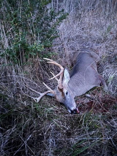 Tbd Tbd Tbd Mount Columbia, MS 39429 - Photo 23 of 27 Photo 23