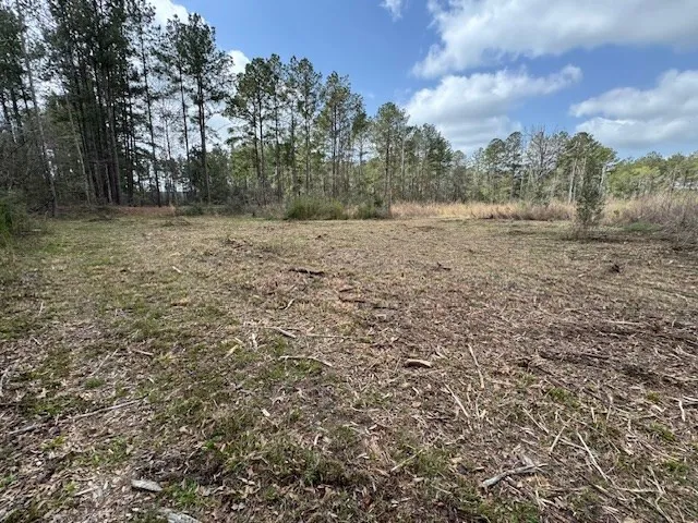 $149,500 | Tbd Tbd Tbd Mount, Columbia, MS 39429