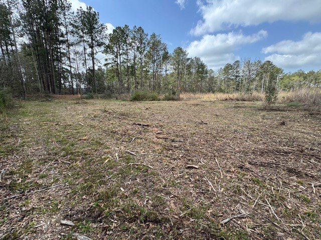 Tbd Tbd Tbd Mount Columbia, MS 39429 - Photo 25 of 27 Photo 25