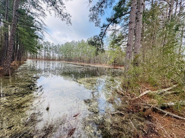 Tbd Tbd Tbd Mount Columbia, MS 39429 - Photo 3 of 27 Photo 3