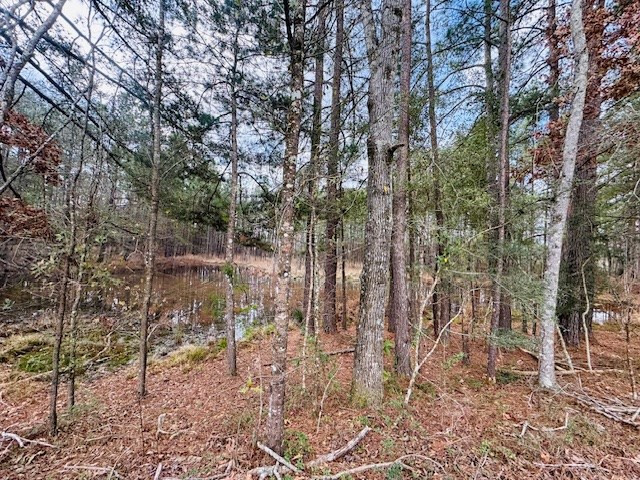 Tbd Tbd Tbd Mount Columbia, MS 39429 - Photo 4 of 27 Photo 4