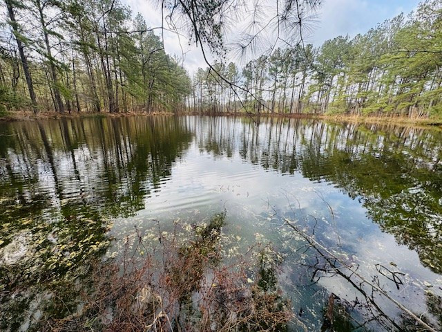 Tbd Tbd Tbd Mount Columbia, MS 39429 - Photo 6 of 27 Photo 6