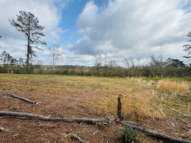 Tbd Tbd Tbd Mount Columbia, MS 39429 - Photo 7 of 27 Photo 7