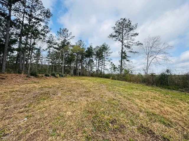 $149,500 | Tbd Tbd Tbd Mount, Columbia, MS 39429
