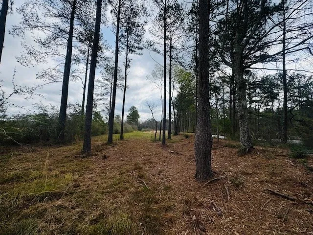 $149,500 | Tbd Tbd Tbd Mount, Columbia, MS 39429