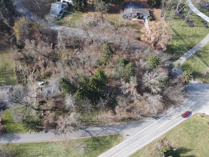 a view of a dry yard with large trees