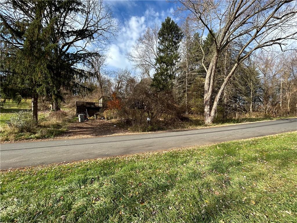 667 Boyer Road Venetia, PA 15367 - Photo 4 of 8 a view of yard with large trees