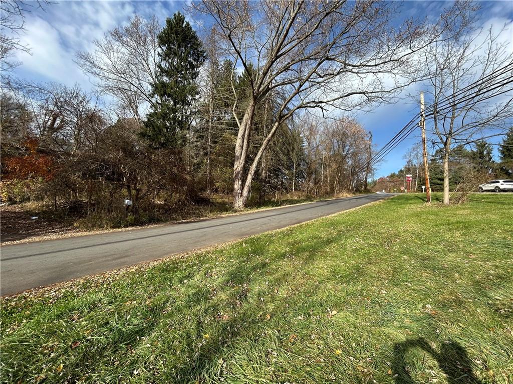 667 Boyer Road Venetia, PA 15367 - Photo 5 of 8 a view of yard with large trees