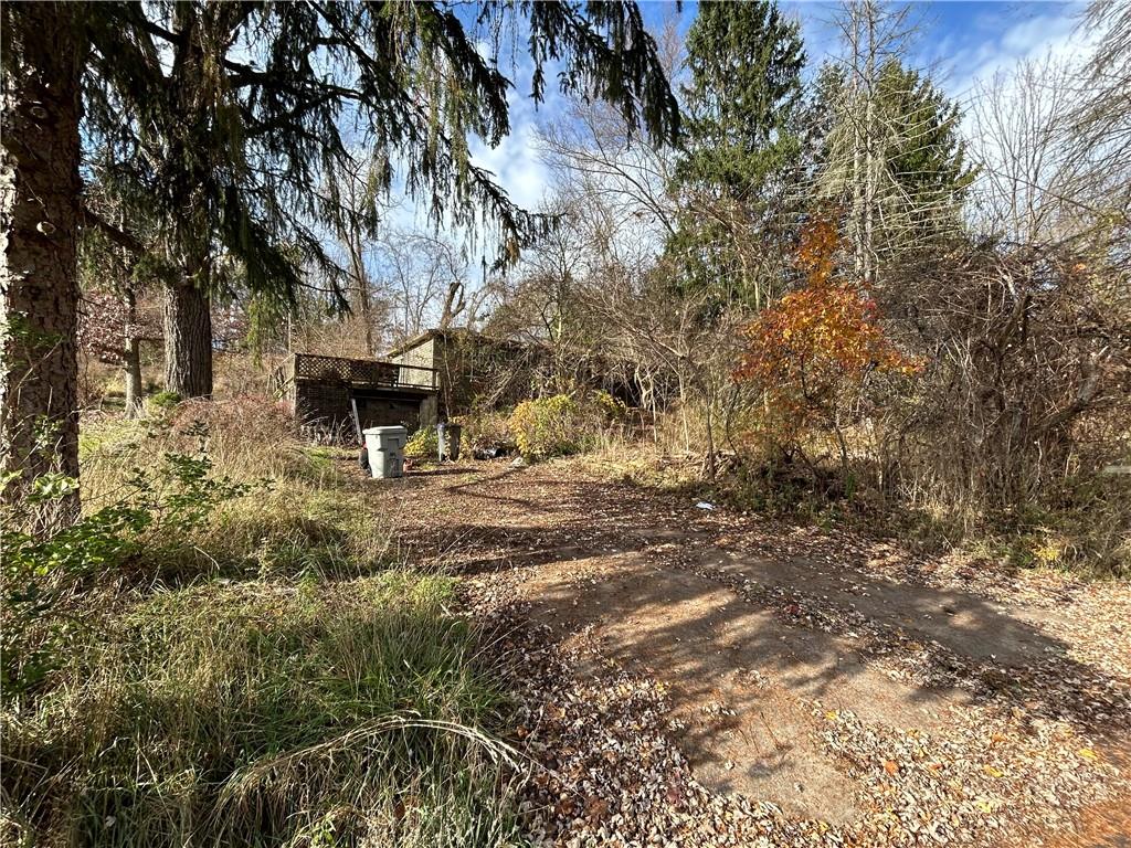 667 Boyer Road Venetia, PA 15367 - Photo 6 of 8 a view of outdoor space with trees