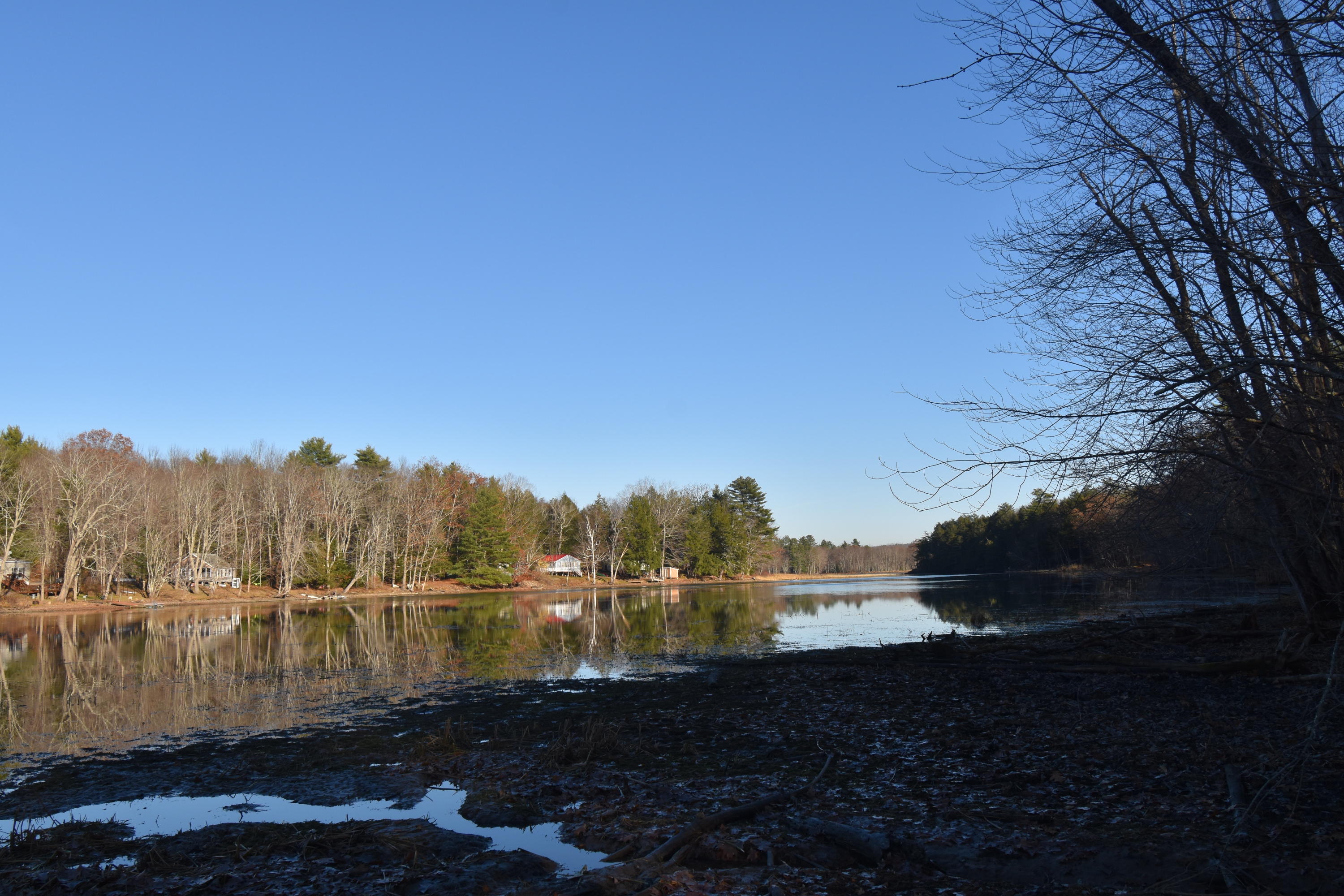 0 Lunts Hill Road Litchfield, ME 04350 - Photo 60 of 80 DSC_0900