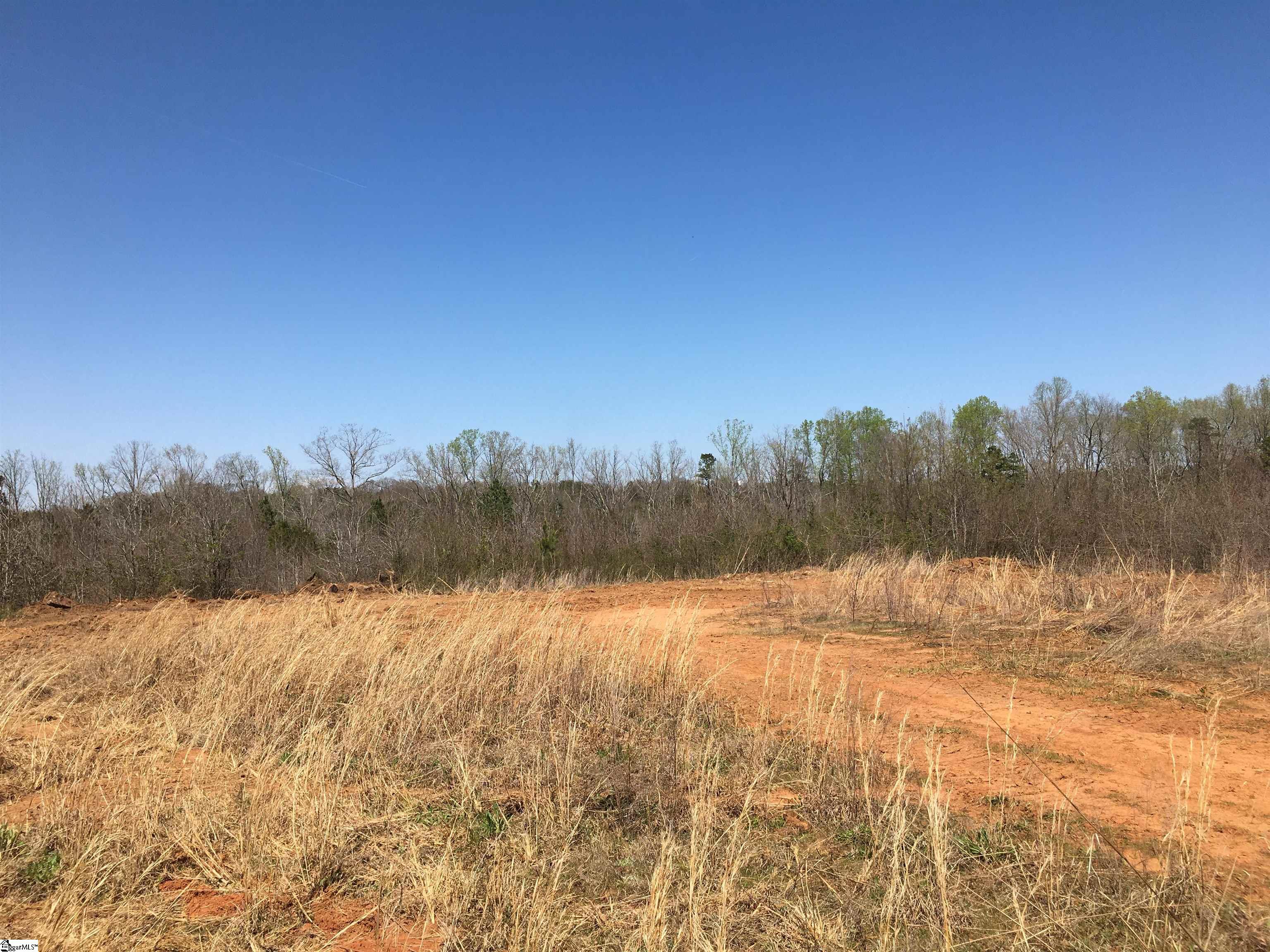0 Sawmill Road Gray Court, SC 29645 - Photo 11 of 13 Gallery Image 11