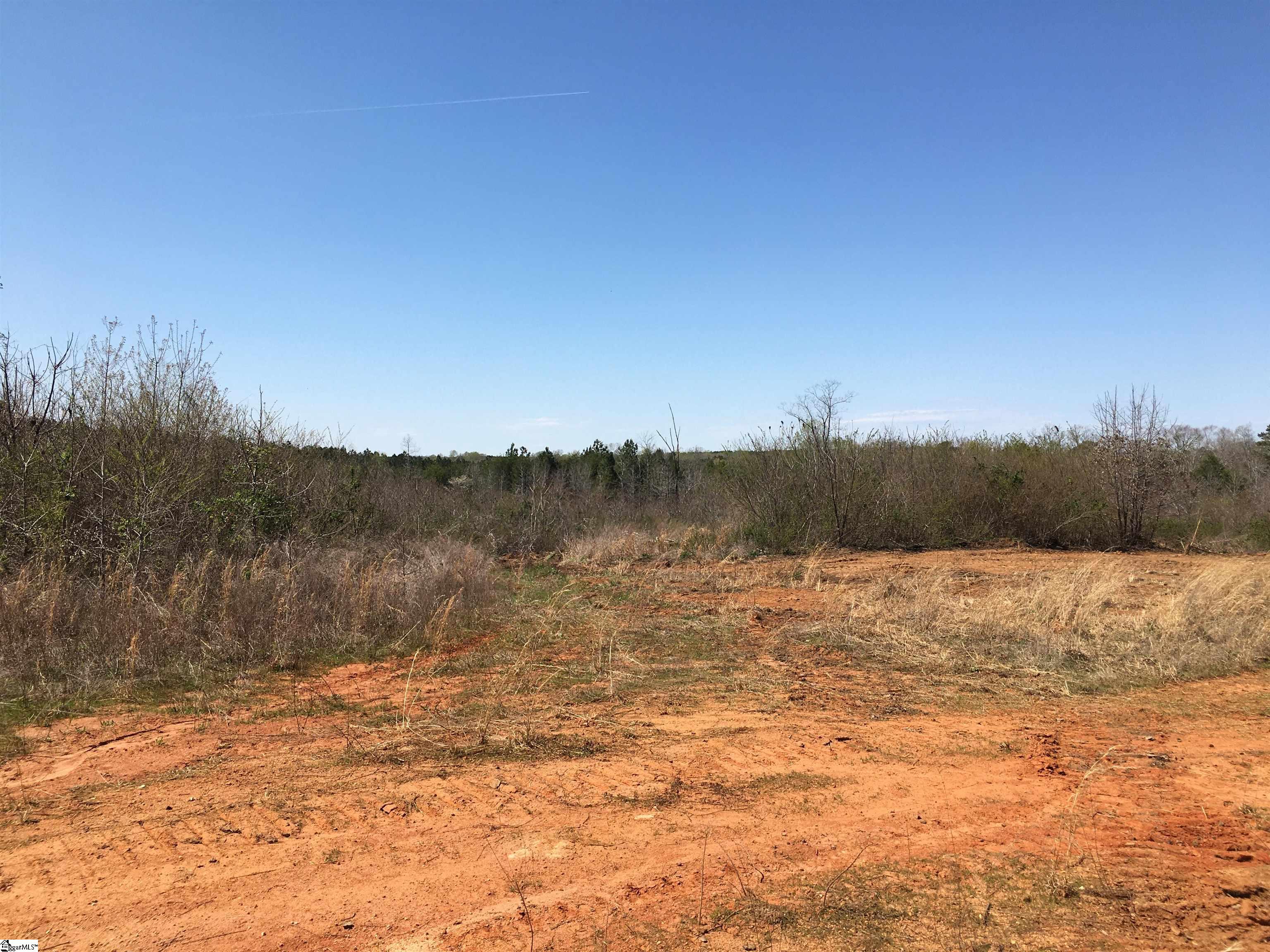 0 Sawmill Road Gray Court, SC 29645 - Photo 5 of 13 Gallery Image 5