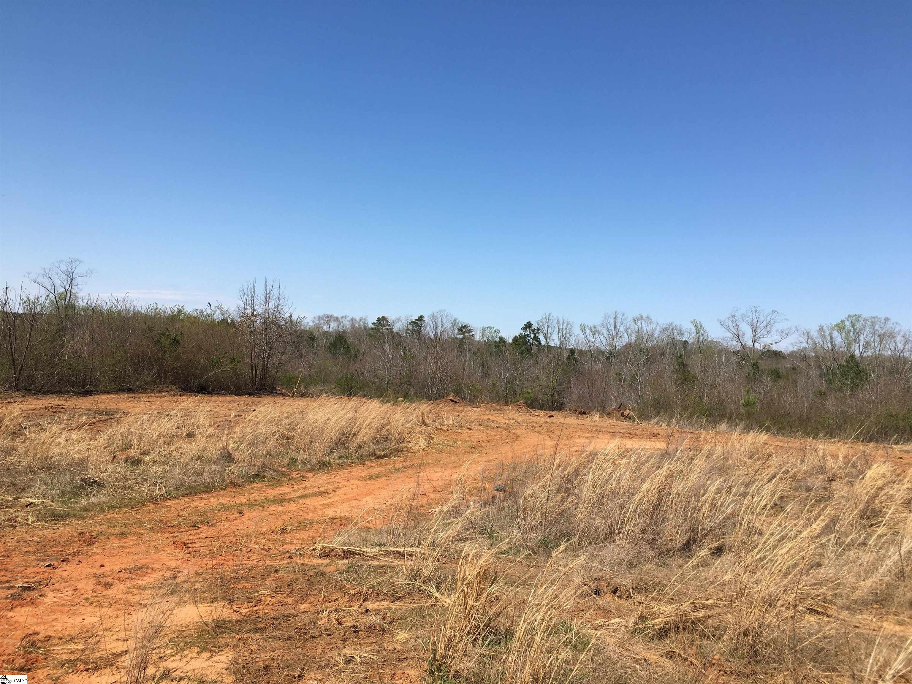 0 Sawmill Road Gray Court, SC 29645 - Photo 8 of 13 Gallery Image 8