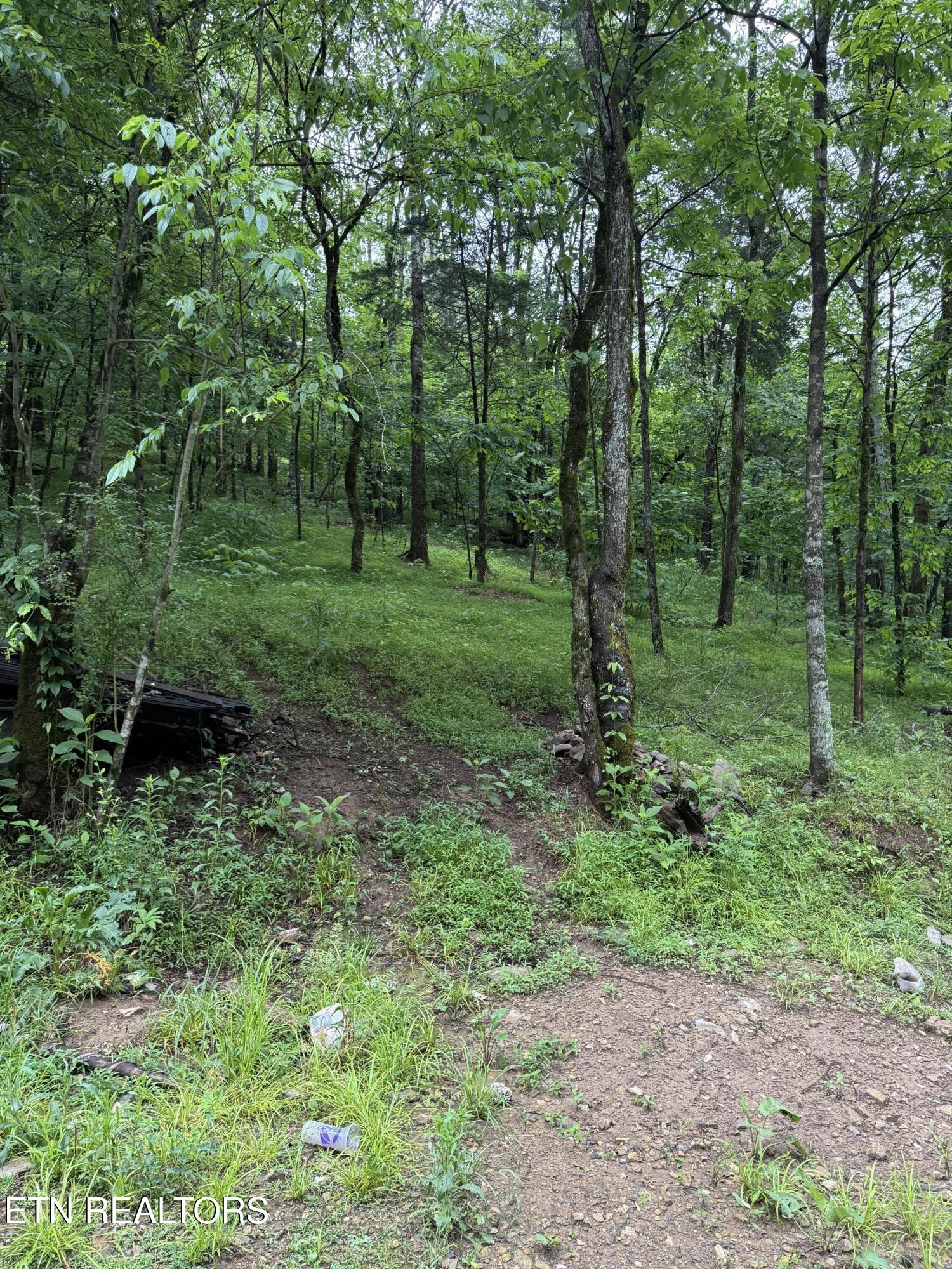 940 Riley Creek Road Whitleyville, TN 38588 - Photo 20 of 30 IMG_6449