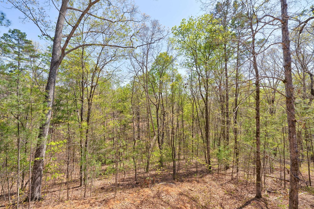 1455 Hap Holt Road Ellijay, GA 30540 - Photo 23 of 23 Gallery Image 23