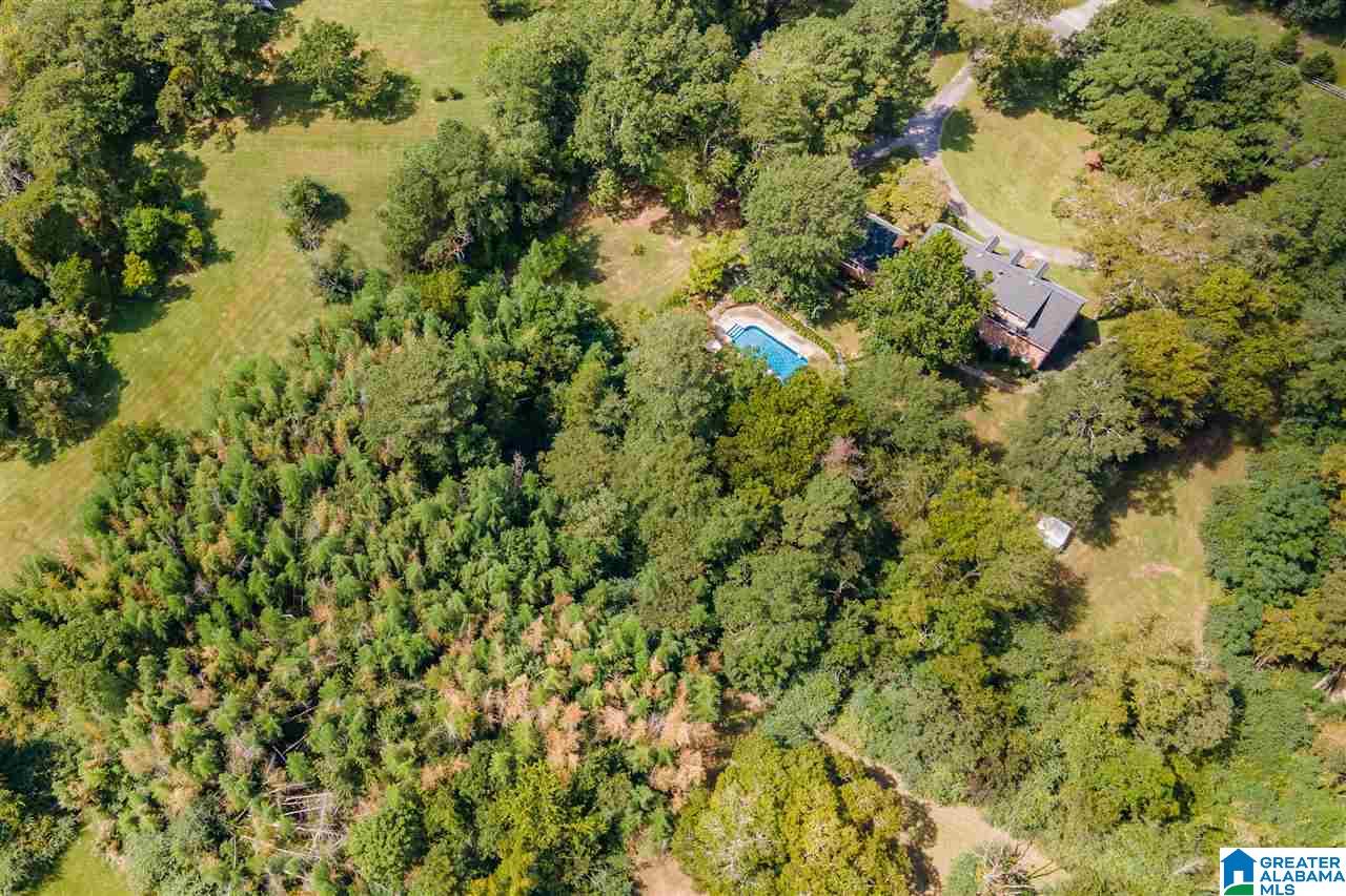 3115 Old Ivy Road Birmingham, AL 35210 - Photo 50 of 50