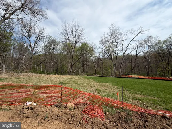 a view of a backyard with large trees