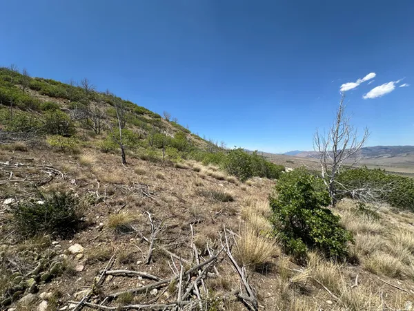 $22,500 | 17 C Thunder Cloud Circle, Unit C17, Fairview, UT 84629