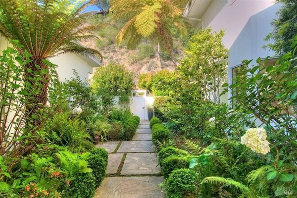 a view of a yard with plants