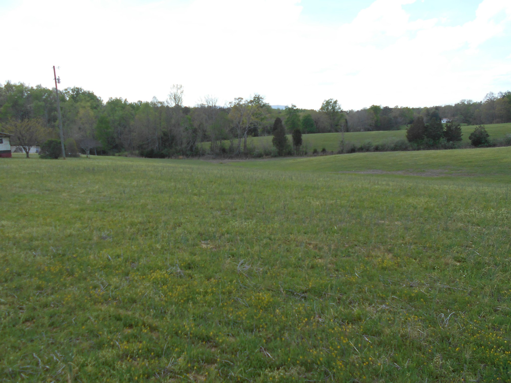 1 Gamble Gap Road Tellico Plains, TN 37385 - Photo 2 of 17 Gallery Image 2