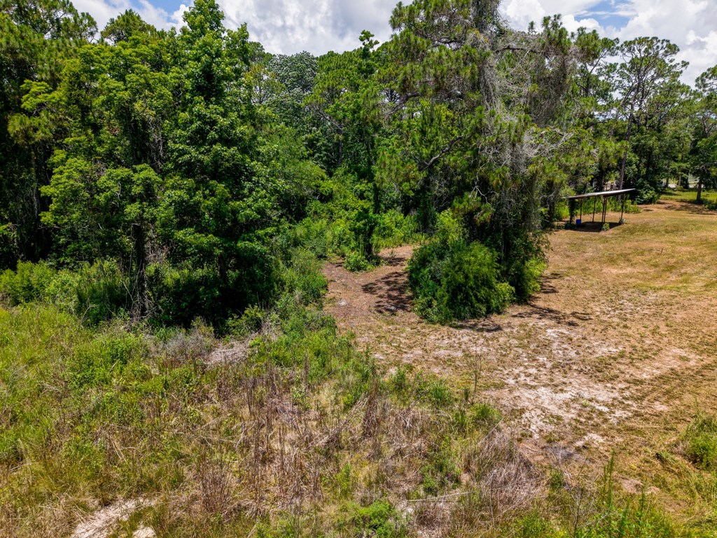 1103 Copacetic Road Carrabelle, FL 32322 - Photo 2 of 10