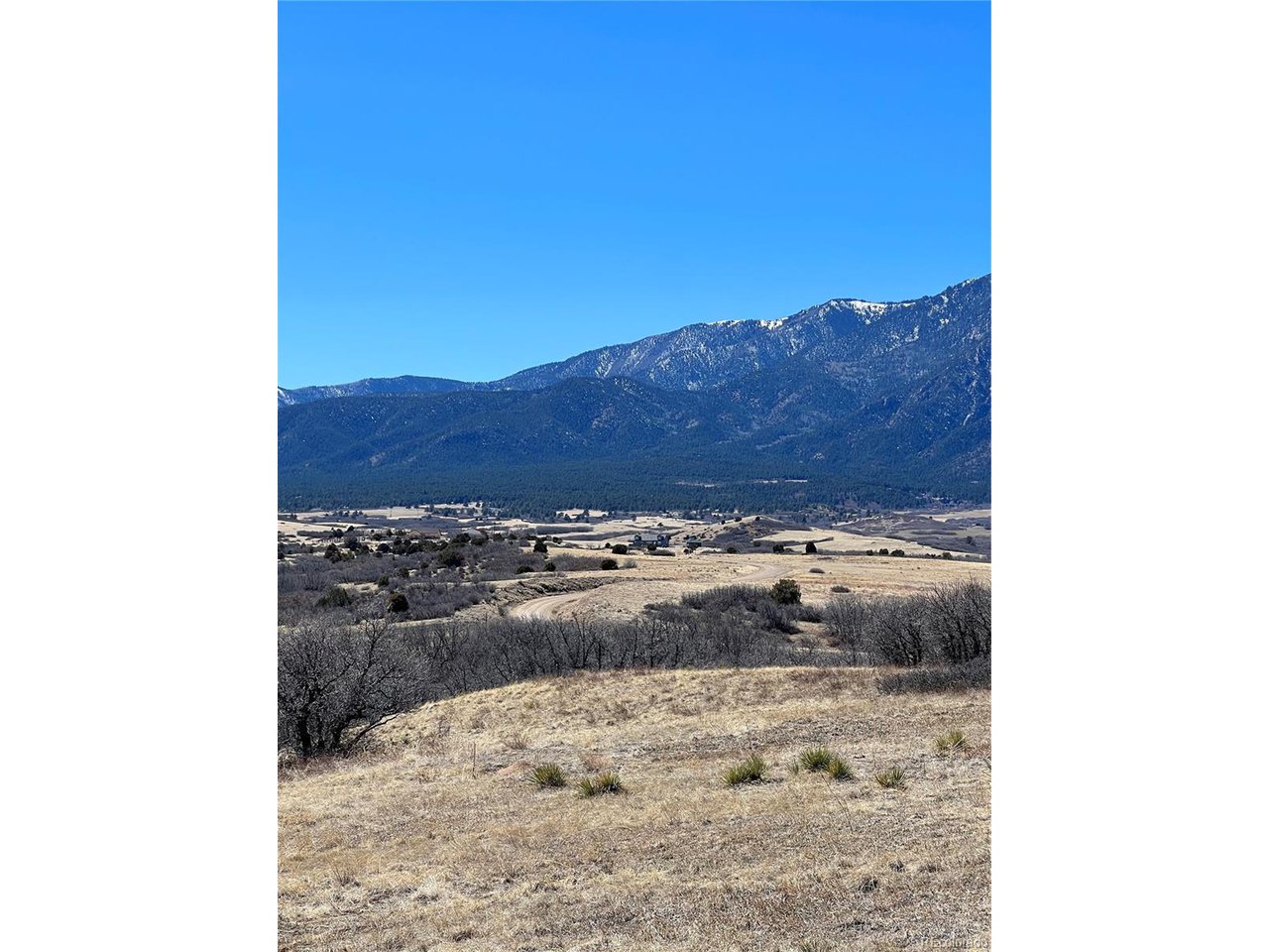 381 Big Bend Drive Rye, CO 81069 - Photo 4 of 7