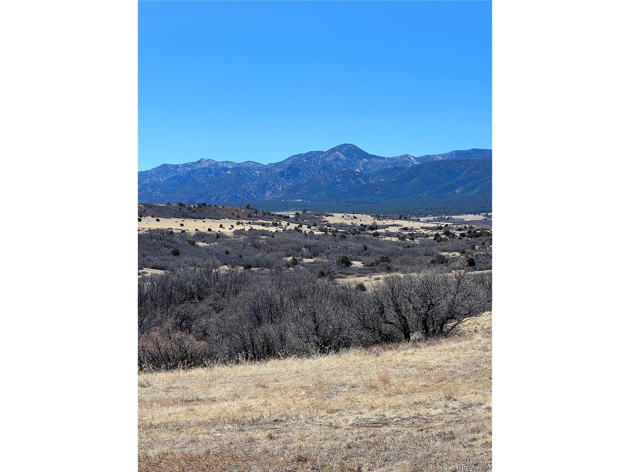 381 Big Bend Drive Rye, CO 81069 - Photo 5 of 7