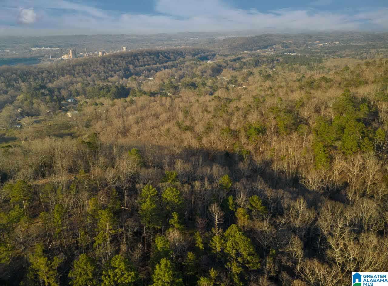 8150 Dunnavant Road, Unit 1 Leeds, AL 35094 - Photo 11 of 29