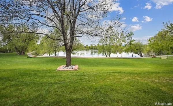 a huge green field with lots of trees