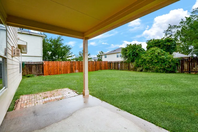 a view of a backyard with plants