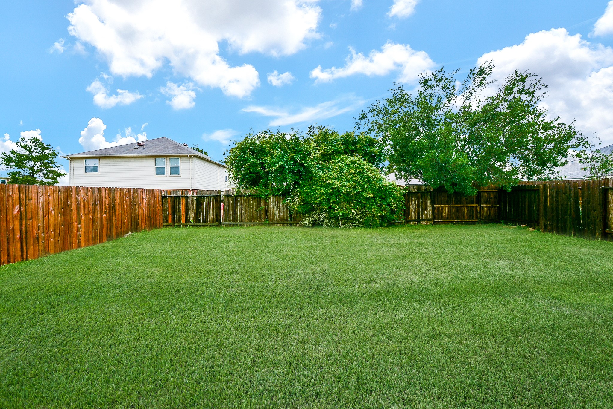 18326 Thicket Grove Road Houston, TX 77084 - Photo 47 of 50 a view of a backyard with a garden