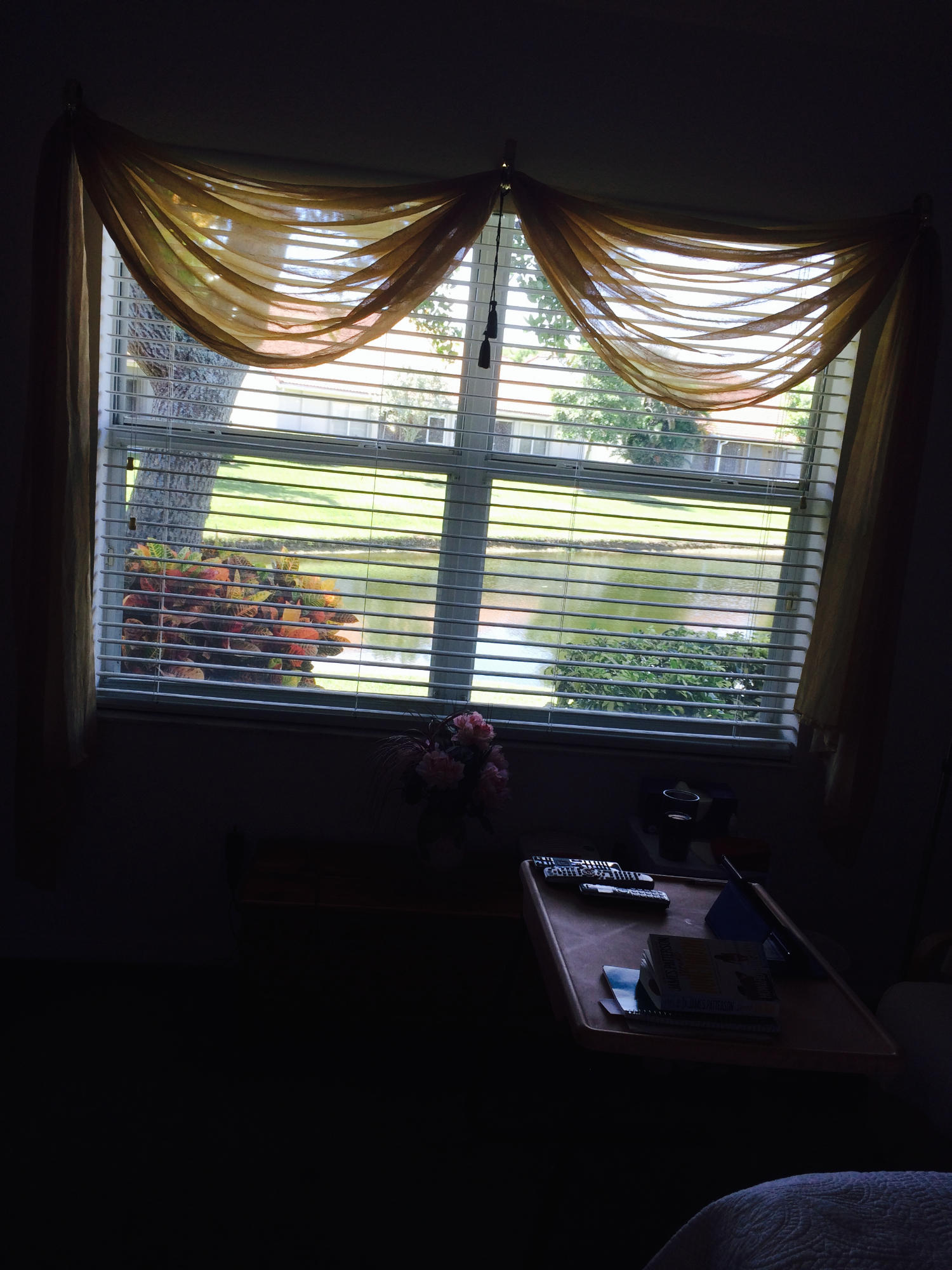 6186 Caladium Road Delray Beach, FL 33484 - Photo 12 of 27 IMG_3150