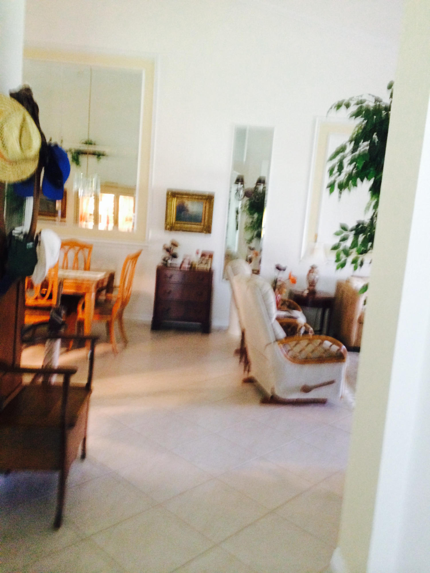 6186 Caladium Road Delray Beach, FL 33484 - Photo 3 of 27 IMG_3141